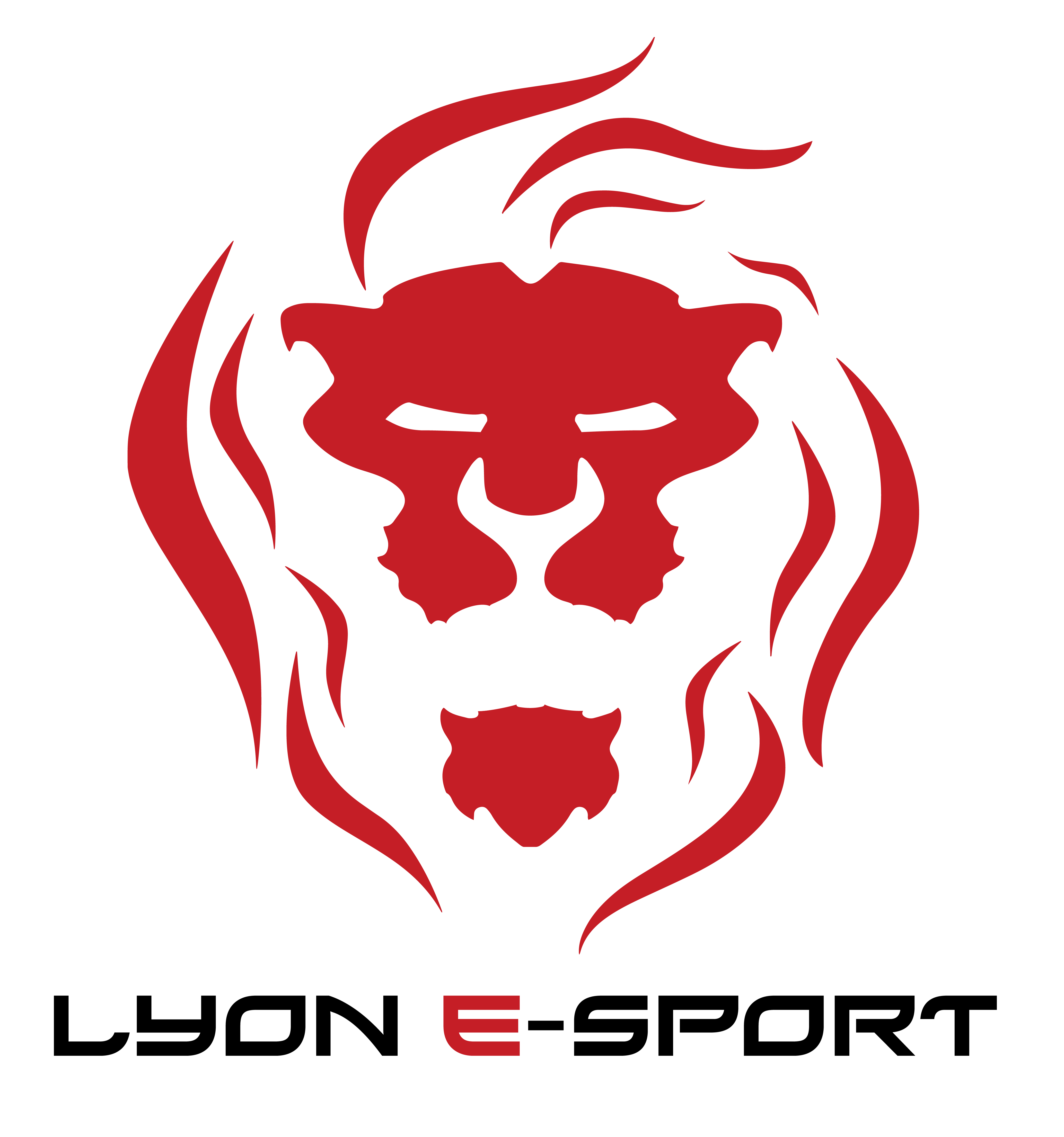 logo lyon esport